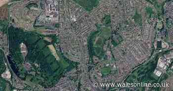 18 dogs seized from two Merthyr properties as man is arrested on suspicion of animal neglect