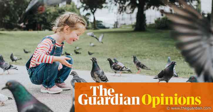 I loathe pigeons. You wouldn’t believe what they do to my downpipe | Adrian Chiles