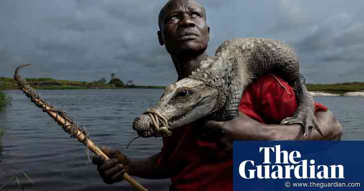 A dwarf crocodile carried home by a hunter: Thomas Nicolon’s best photograph