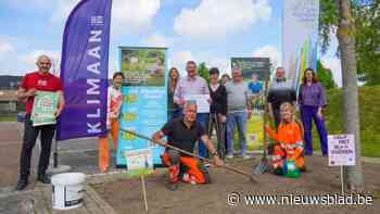 Inwoners Sint-Katelijne-Waver vragen bloemzaadjes aan om bijen te steunen: “De actie is een succes”