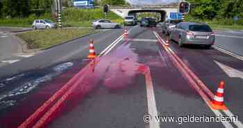 Vrachtwagen verliest honderden liters bloed: wat gebeurt er eigenlijk met al dat slachtbloed?