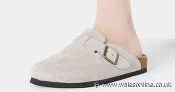 Debenhams' Birkenstock-style 'quality' leather clogs are 'comfortable from the first wear' and less than £40