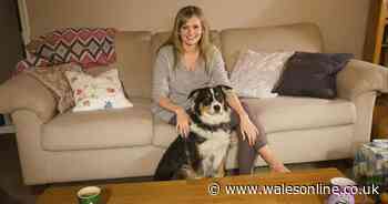 'My dog swallowed my only car key and left me stranded for days'