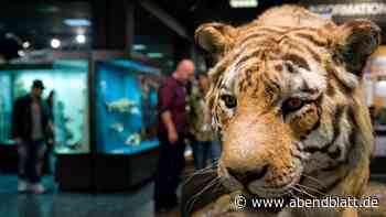 Tipps: Was Sie zur Langen Nacht der Museen in Hamburg wissen müssen