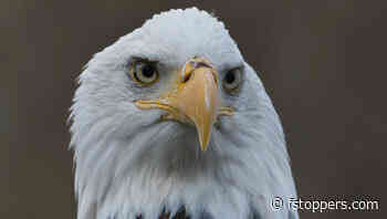 Efficient Image Editing With Affinity Photo 2