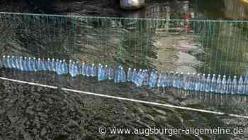 Turbine: Wer ist denn für die Enten zuständig?