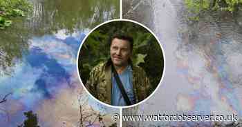 'Petrol or diesel' appears to have contaminated Watford River Colne