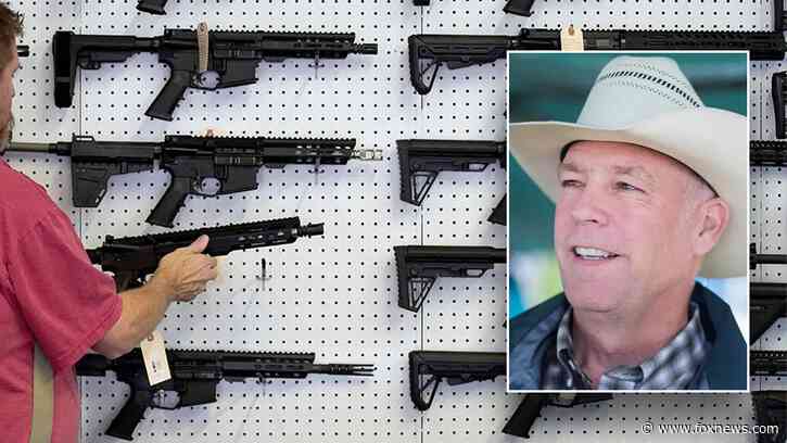 WATCH: Red state gov urges firearms makers to ditch Colorado amid its anti-gun push