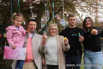 FOTO. De boom is er al, nu nog wachten op de eerste moedige kleuters met een tutje