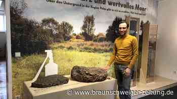 Zucker, Stahl und Zuwanderung: Das ist die Peiner Geschichte