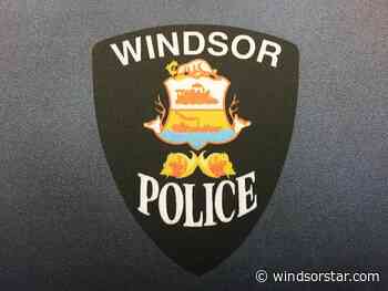 Puppy thieves charged following armed robbery on Windsor's west side