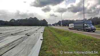 Pelts aspergeveld kan “belangrijke locatie” zijn voor bereikbaarheid van Lommel