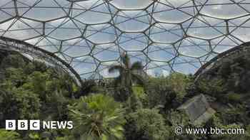 Eden Project hosts Earth Day film for children