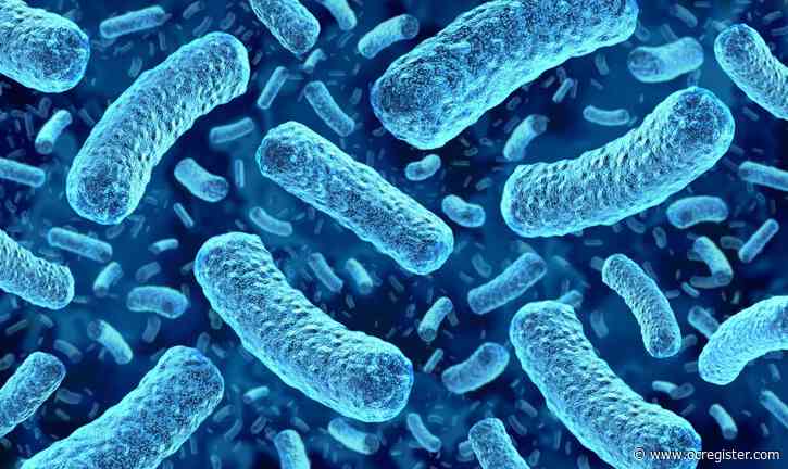 What is listeria? Things to know about the bacteria and how to prevent infection.