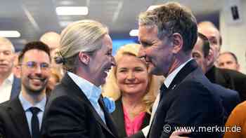 „Wappnet sich für Durchbruch“: Situation der AfD zeigt unheimliche Parallelen zum Jahr 1925