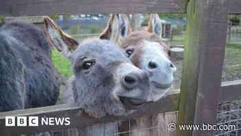 Zoo to sell animal poo as garden fertiliser