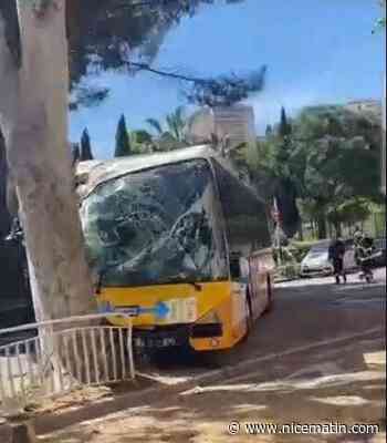 Un bus percute un platane à Nice, sa conductrice évacuée à l’hôpital