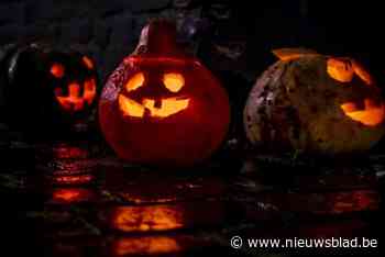 Broers stelen boekentas van leerkracht tijdens Halloweentocht en verzetten zich tegen arrestatie