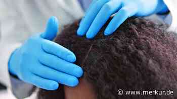 Läuse in Bayern breiten sich aus – Was gegen die kleinen Parasiten hilft