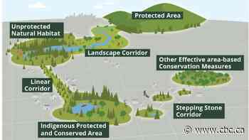 Canadian Geographic launches educational project about ecological corridors