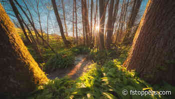 How to Enhance Images With Midtones Contrast