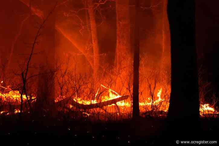 Wildfire in New Jersey Pine Barrens expected to grow before it’s contained, officials say