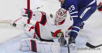 Senators look to bounce back at home