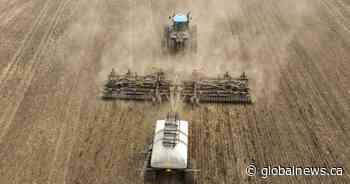 As tariffs from U.S. and China bite, Canadian agriculture needs help: CFIB