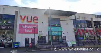 Chaos erupts during Minecraft Movie screening in Welsh cinema after 'chicken jockey!' moment