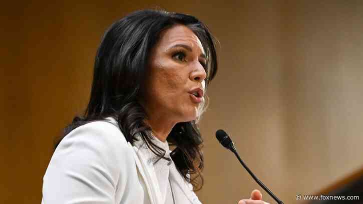 DNI Gabbard refers intel officials to DOJ for prosecution over alleged leaks of classified information