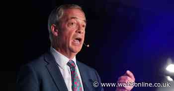 Nigel Farage says Reform UK 'open to doing deal' with other parties to form next government in Wales