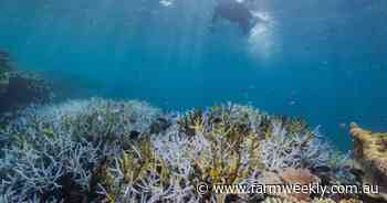 An opportunity exists to secure Ningaloo Coast land as pastoralist retires