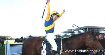 Stefi Magnetica adds to ever-consistent stallion's tally | Tails