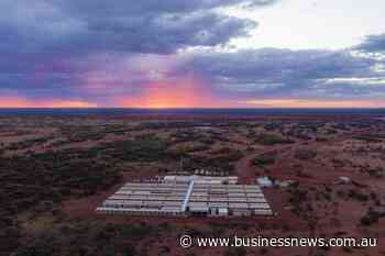 Capricorn continues to expand around Mt Gibson