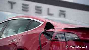Manitoba handed out $1.3M in Tesla rebates before vehicles were pulled from EV program