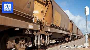 Federal support promised to help WA Labor buy back freight rail network