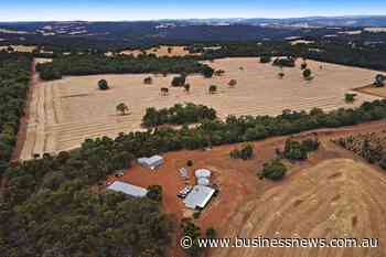 Lean Chalice keeps spending low