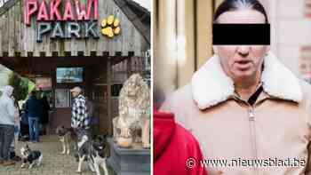 Hof van beroep buigt zich over veroordeling zaakvoerder Pakawi Park  voor aanranding negen vrouwen