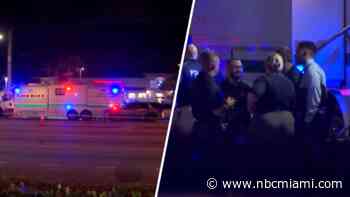 ‘She's swinging around big knives': 911 calls report woman who was later fatally shot by BSO deputy