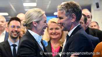 „Wappnet sich für Durchbruch“: Bei der AfD zeigen sich unheimliche Parallelen zu 1925