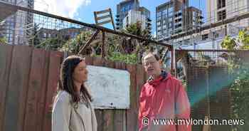 The quiet Croydon street where squatters takeover gardens and poo outside a school