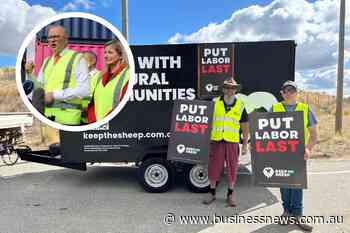 Sheep export ban draws protesters as Bullwinkel candidate moot