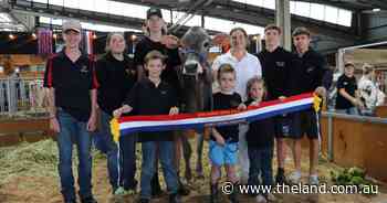 Dairy aficionados come together to claim victory in Semex Youth Challenge