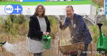 Für prima Klima: Hannover hat ersten Miniwald im dichtbebauten Quartier List