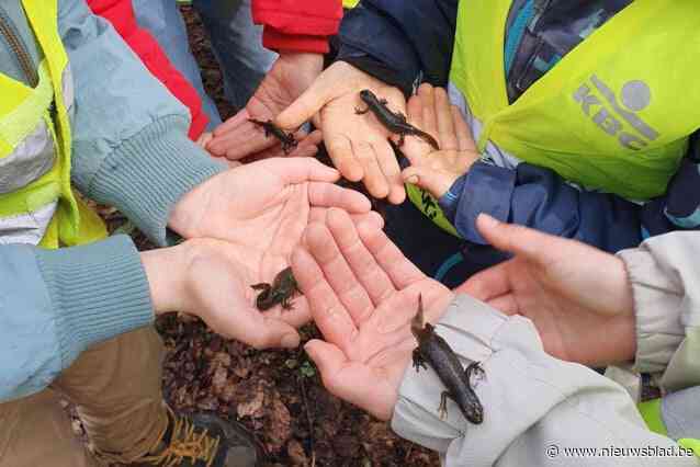 Natuurpunt organiseert Wilde Snuitdag: “Speelse en avontuurlijke namiddag in de natuur”