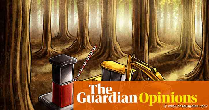 Labour’s great nature sellout is the worst attack on England’s ecosystems I’ve seen in my lifetime | George Monbiot