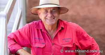 Best by a country mile, Stephen Paull was a standout in stock and station game