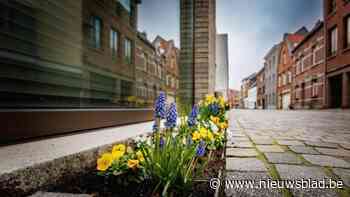 Gemeente gaat zelf tegelwippen aan Doornboompad