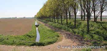 Moet een boer intensiveren of juist extensiveren?