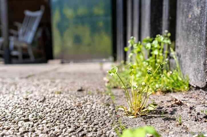 NVWA laat ruim 300 online advertenties voor illegale tuinbestrijdingsmiddelen verwijderen